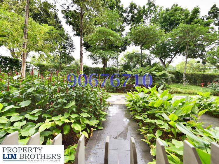 Terrasse (D19), Condominium #151829692